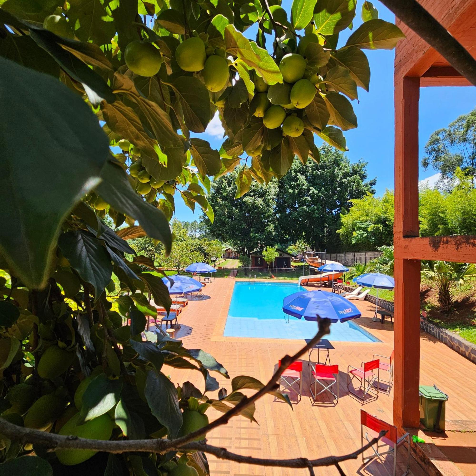 פוארטו איגואסו Cabanas El Refugio Del Mensu מראה חיצוני תמונה