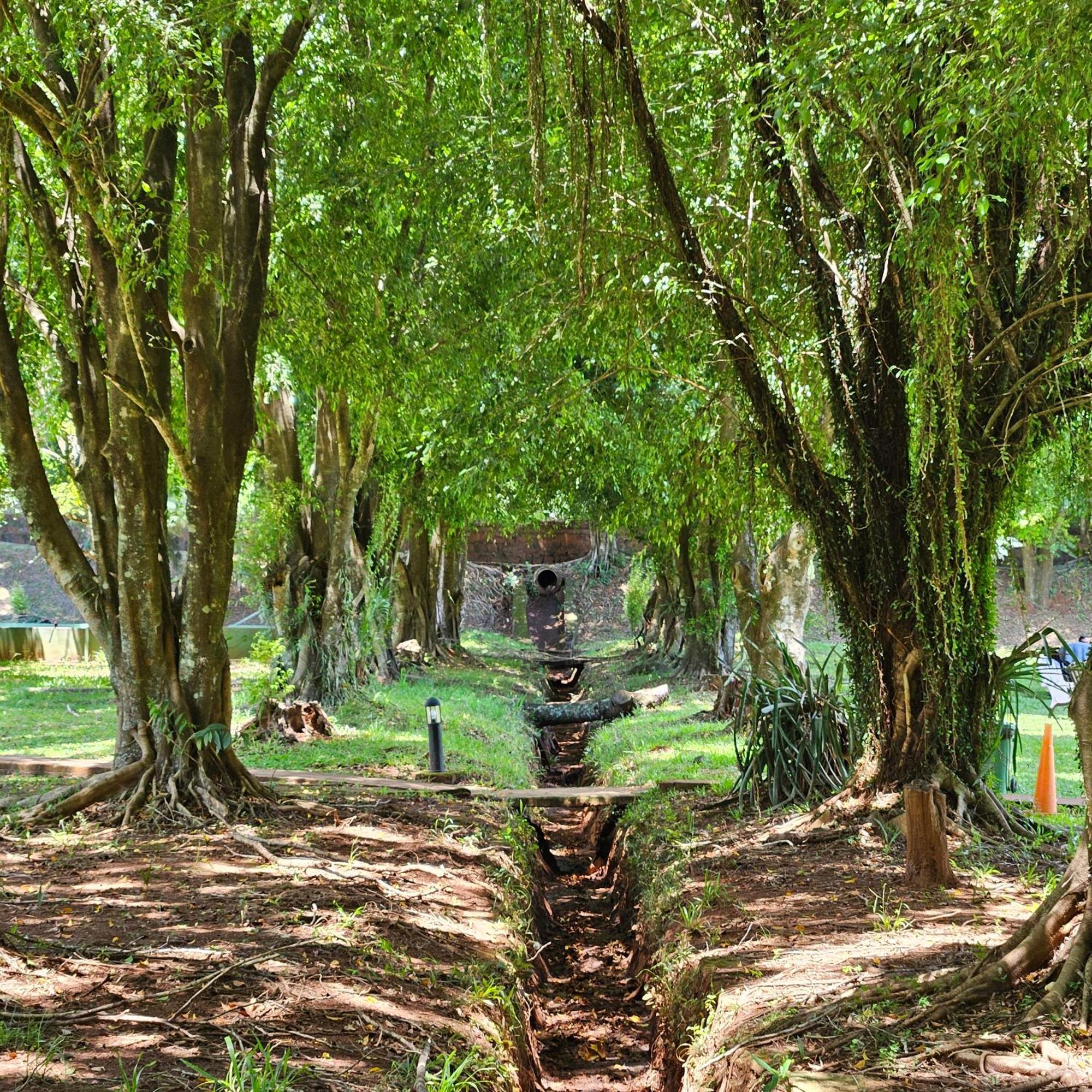 פוארטו איגואסו Cabanas El Refugio Del Mensu מראה חיצוני תמונה